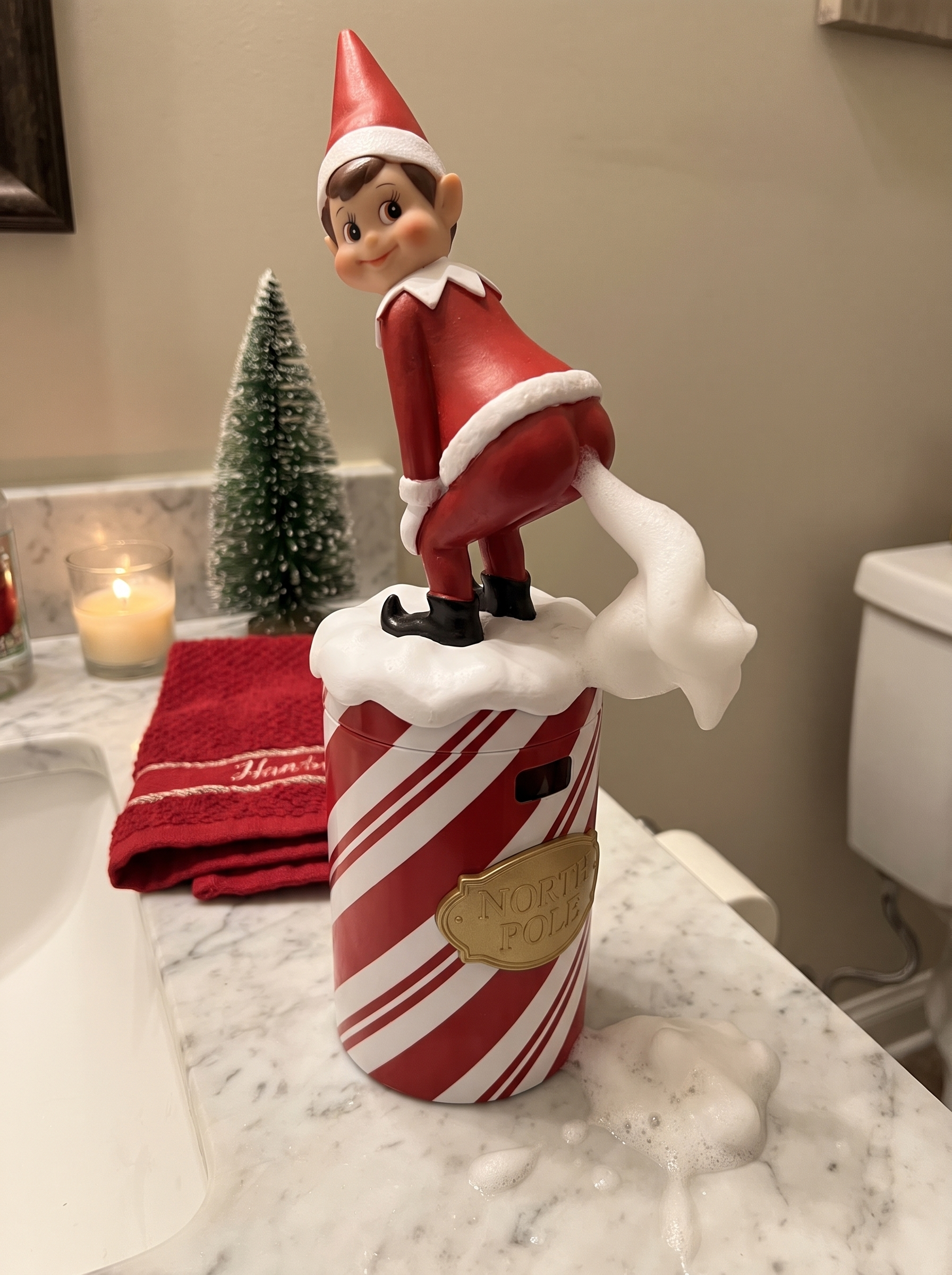 Customer photo of the Elf Suds Soap Dispenser in a bathroom