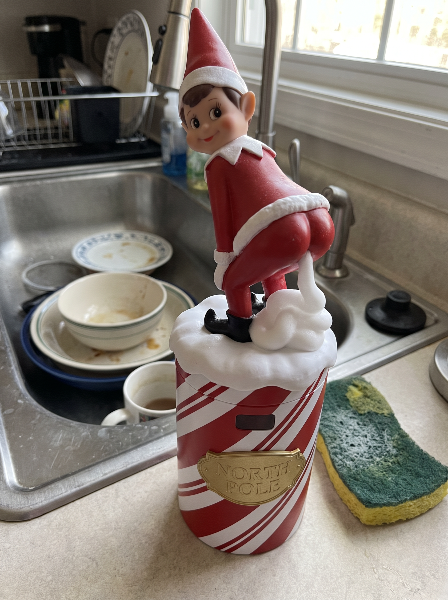 Customer photo of the Elf Suds Soap Dispenser by a kitchen sink